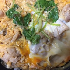 水菜入り♪たっぷり玉ねぎの親子丼